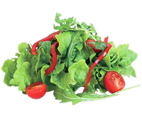 Station Salads